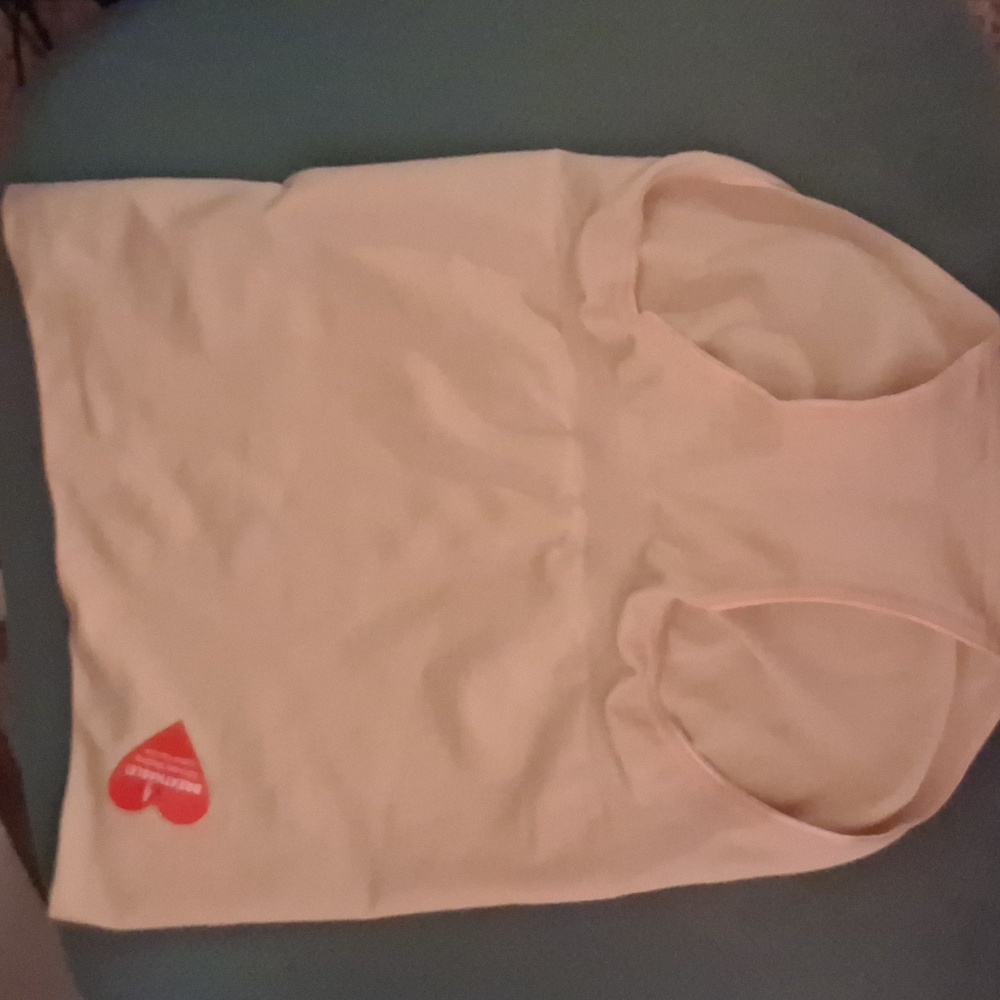 NWTS Assets by Spanx Shapewear in Beige-XL